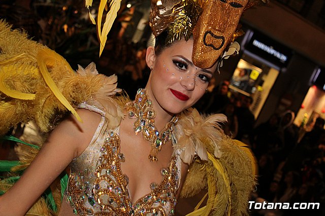 Desfile Carnaval de Totana 2018 - 760
