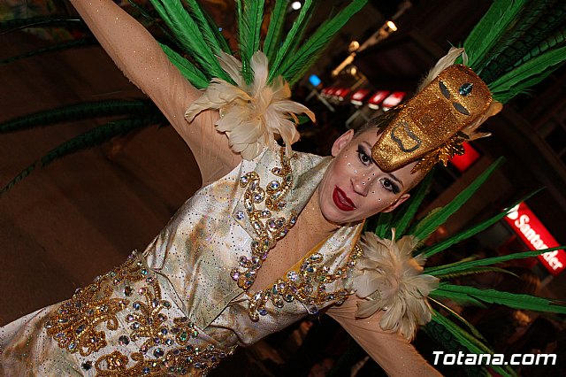 Desfile Carnaval de Totana 2018 - 763
