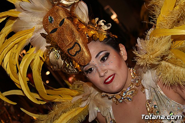 Desfile Carnaval de Totana 2018 - 765