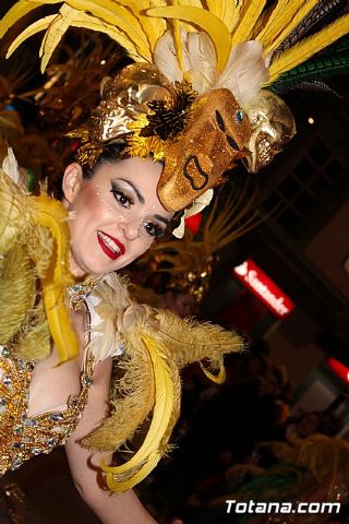 Desfile Carnaval de Totana 2018 - 773