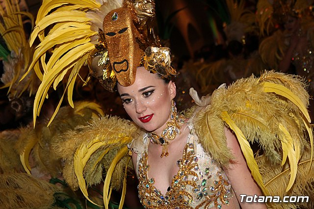 Desfile Carnaval de Totana 2018 - 777