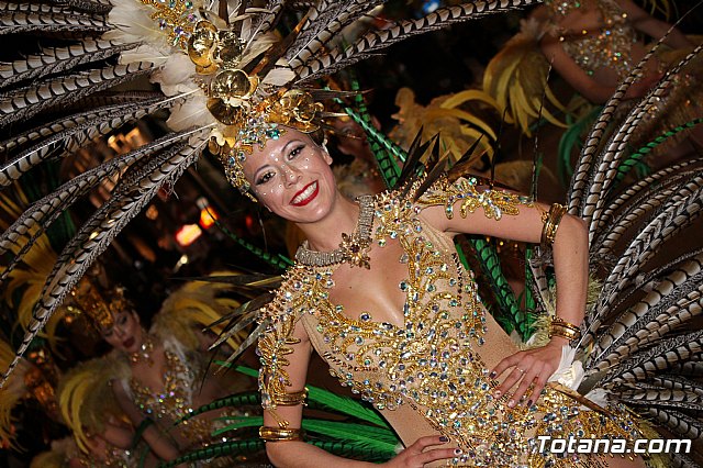 Desfile Carnaval de Totana 2018 - 779