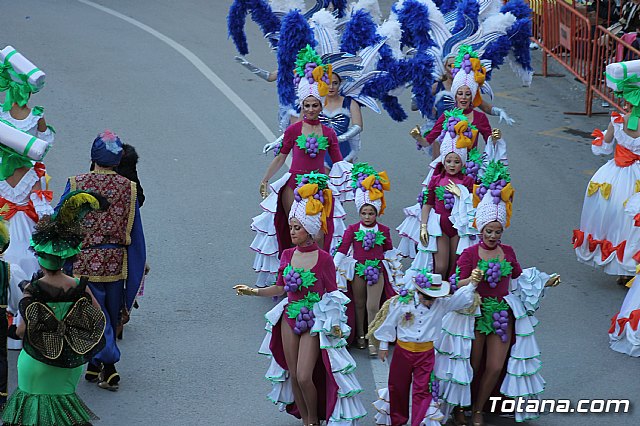 Desfile Carnaval de Totana 2018 - 965