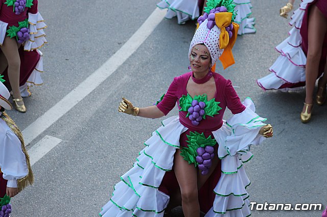 Desfile Carnaval de Totana 2018 - 982