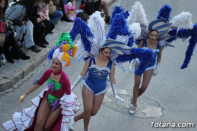 Desfile Carnaval de Totana 2018 - 983