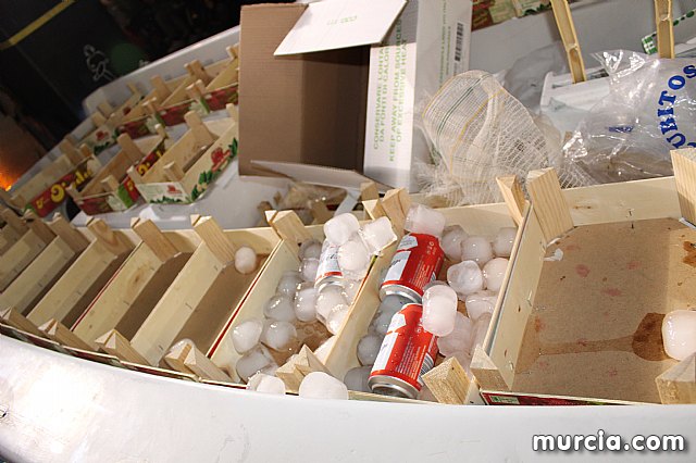 III Concurso Regional de Carnaval con la participacin de Peas de Totana - 209