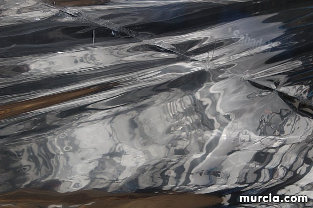 III Concurso Regional de Carnaval con la participacin de Peas de Totana - 381