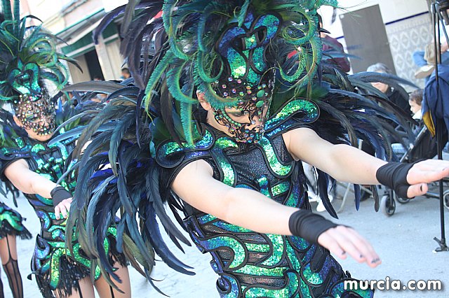 IV Concurso Regional de Carnaval con la participacin de Peas de Totana 2019 - 88