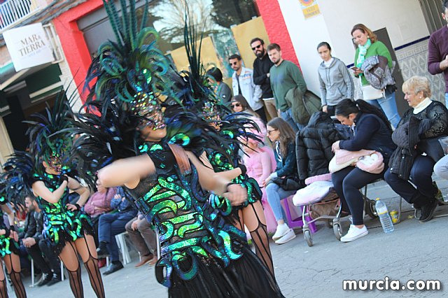 IV Concurso Regional de Carnaval con la participacin de Peas de Totana 2019 - 106
