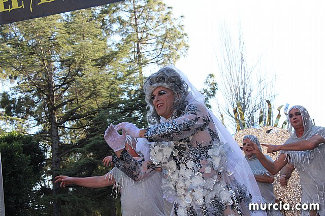 IV Concurso Regional de Carnaval con la participacin de Peas de Totana 2019 - 159