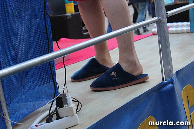 IV Concurso Regional de Carnaval con la participacin de Peas de Totana 2019 - 224