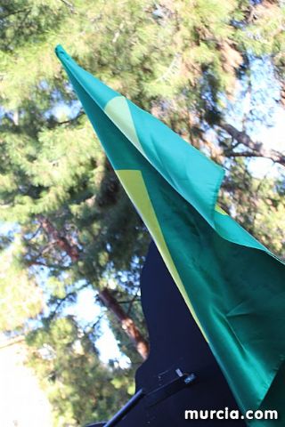 IV Concurso Regional de Carnaval con la participacin de Peas de Totana 2019 - 260