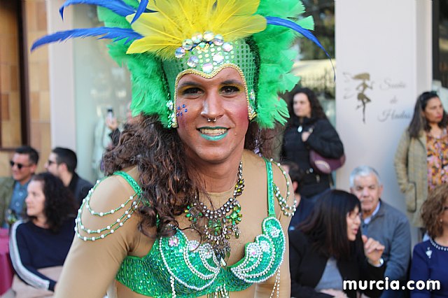 IV Concurso Regional de Carnaval con la participacin de Peas de Totana 2019 - 294