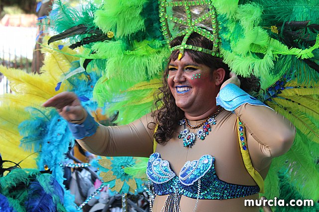 IV Concurso Regional de Carnaval con la participacin de Peas de Totana 2019 - 307