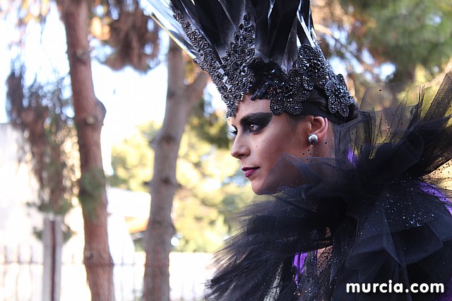 IV Concurso Regional de Carnaval con la participacin de Peas de Totana 2019 - 524