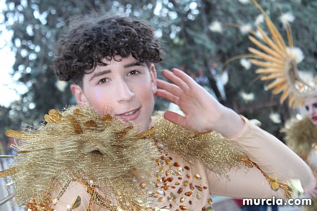 IV Concurso Regional de Carnaval con la participacin de Peas de Totana 2019 - 742