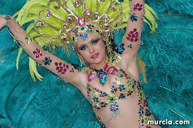 IV Concurso Regional de Carnaval con la participacin de Peas de Totana 2019 - 836