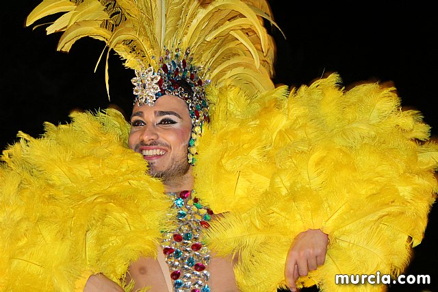 IV Concurso Regional de Carnaval con la participacin de Peas de Totana 2019 - 1014