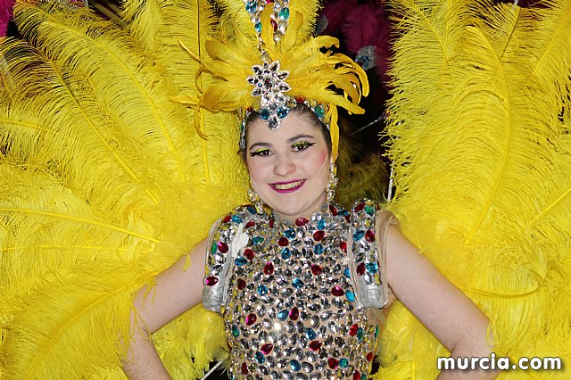 IV Concurso Regional de Carnaval con la participacin de Peas de Totana 2019 - 1030