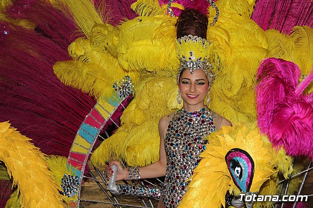 IV Concurso Regional de Carnaval con la participacin de Peas de Totana 2019 - 1126