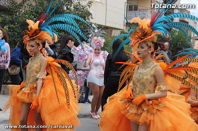 Desfile de Carnaval Totana 2014 - 4