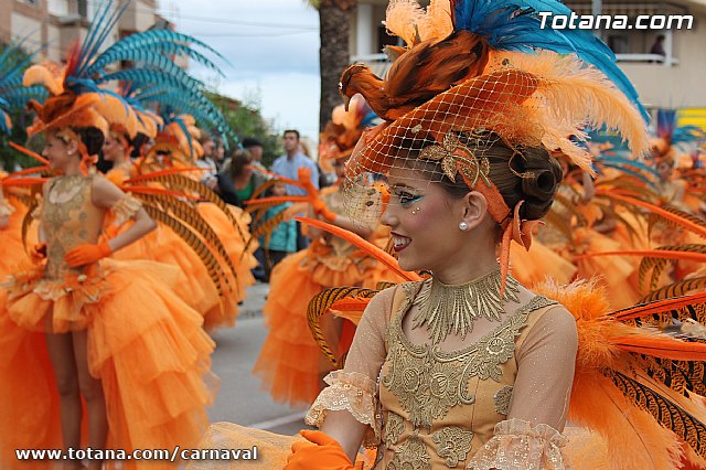 Desfile de Carnaval Totana 2014 - 5