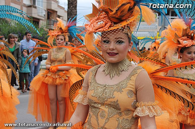 Desfile de Carnaval Totana 2014 - 7