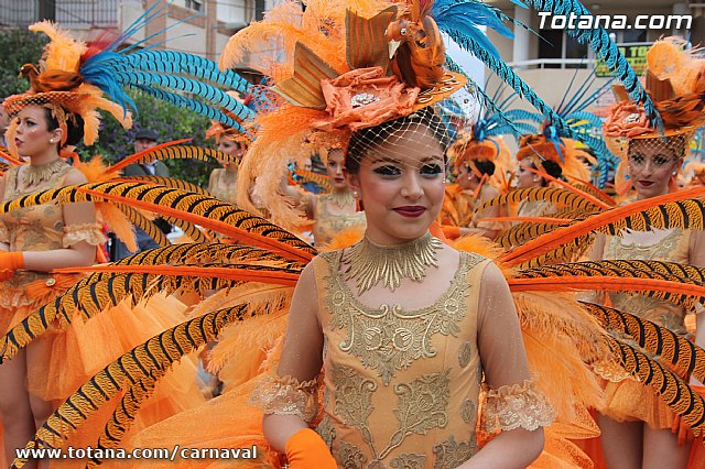 Desfile de Carnaval Totana 2014 - 8
