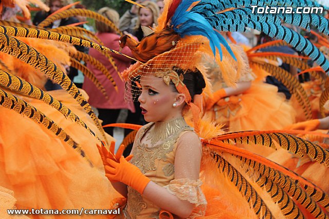 Desfile de Carnaval Totana 2014 - 11