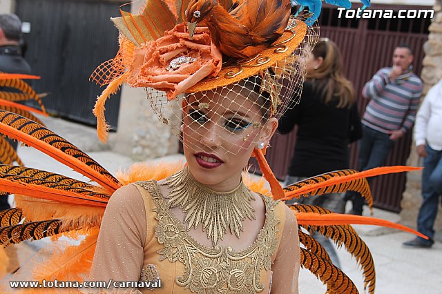 Desfile de Carnaval Totana 2014 - 12