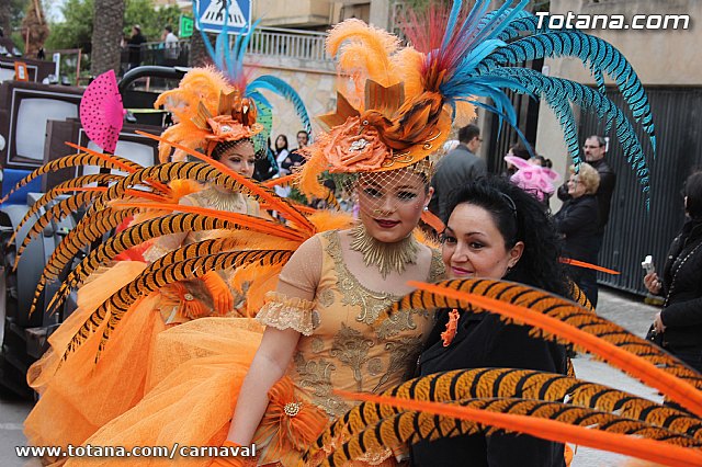 Desfile de Carnaval Totana 2014 - 14