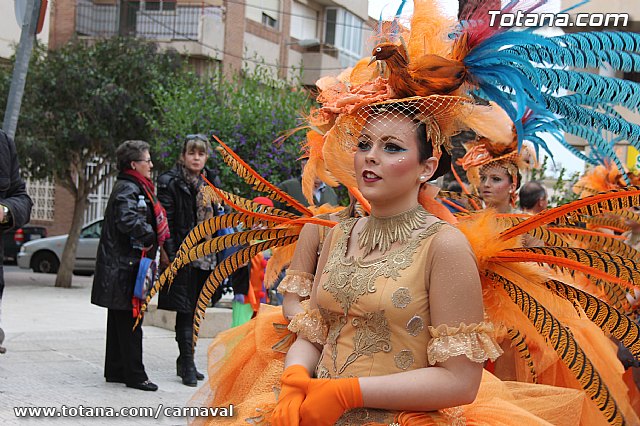 Desfile de Carnaval Totana 2014 - 16