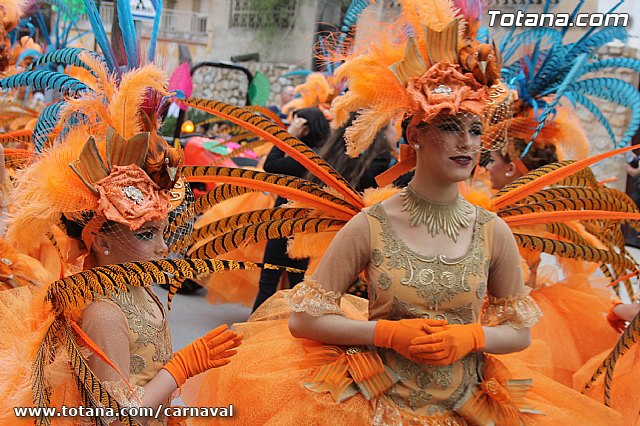Desfile de Carnaval Totana 2014 - 18