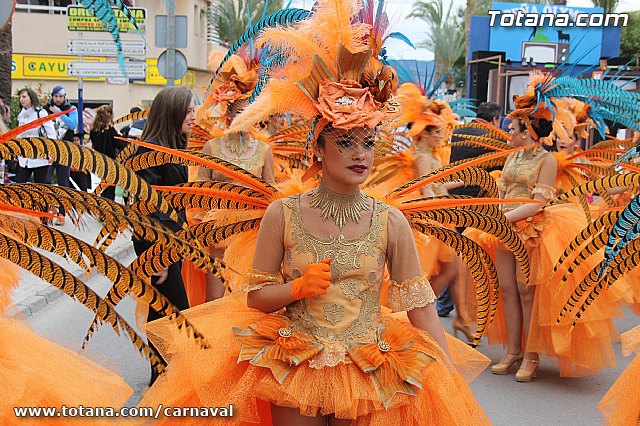 Desfile de Carnaval Totana 2014 - 20