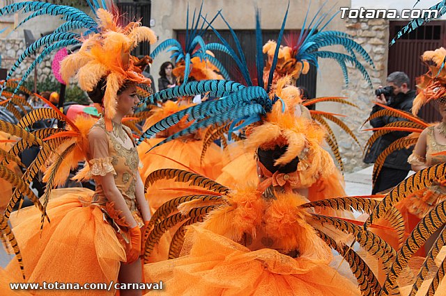 Desfile de Carnaval Totana 2014 - 21