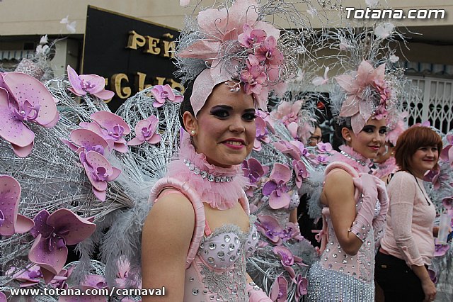 Desfile de Carnaval Totana 2014 - 23