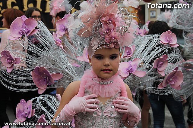 Desfile de Carnaval Totana 2014 - 25