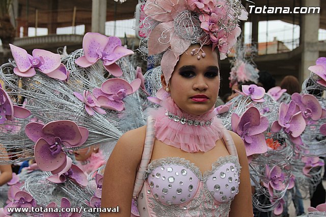 Desfile de Carnaval Totana 2014 - 27