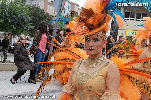 Desfile de Carnaval Totana 2014 - 31