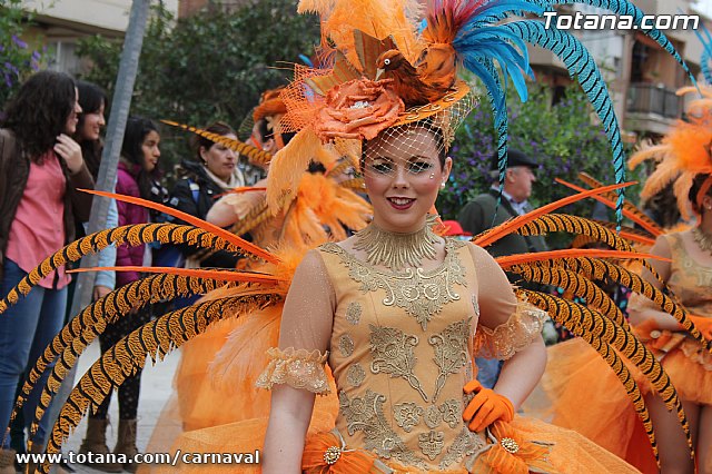 Desfile de Carnaval Totana 2014 - 33