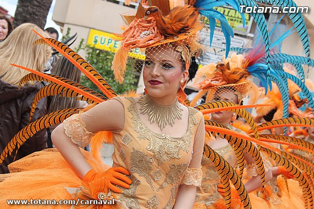 Desfile de Carnaval Totana 2014 - 36