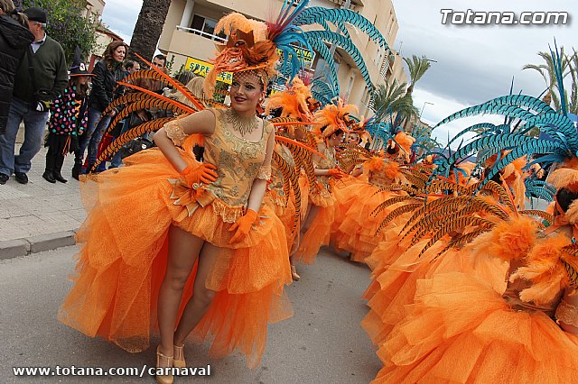 Desfile de Carnaval Totana 2014 - 37