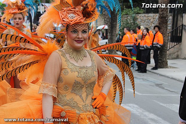 Desfile de Carnaval Totana 2014 - 50