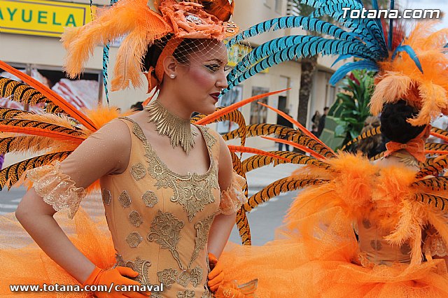 Desfile de Carnaval Totana 2014 - 51