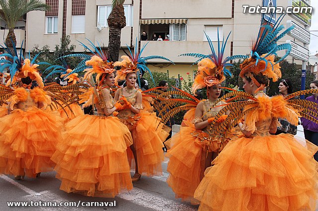 Desfile de Carnaval Totana 2014 - 52