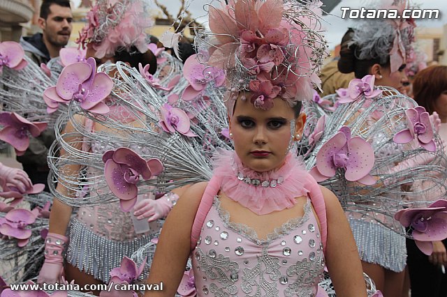 Desfile de Carnaval Totana 2014 - 56