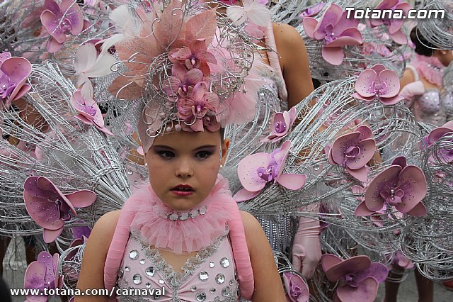Desfile de Carnaval Totana 2014 - 57