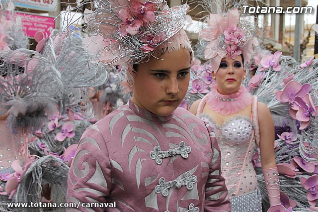 Desfile de Carnaval Totana 2014 - 62
