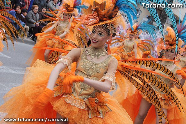 Desfile de Carnaval Totana 2014 - 70