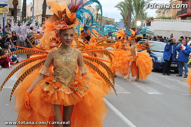 Desfile de Carnaval Totana 2014 - 72